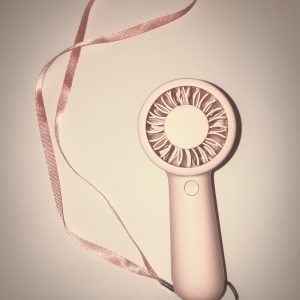 Handheld Electric Fan